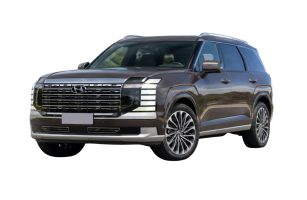 Hyundai Palisade Calligraphy 8 Seater